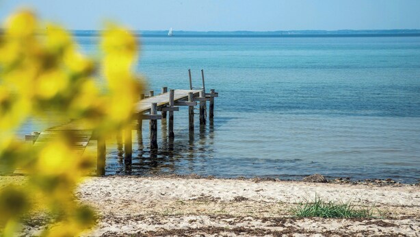 Un muelle de madera que se adentra en aguas tranquilas bajo un cielo despejado.