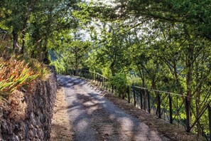 Miscellaneous - Romantic studio in medieval Rasiglia (Rasiglia)