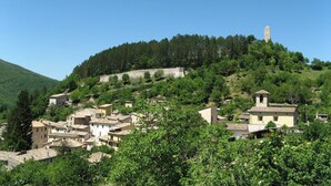 Un poble situat en un turó amb edificis tradicionals, una torre destacada i un bosc dens al fons.