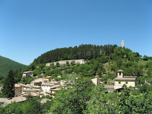 A hillside village with traditional buildings, a prominent tower, and a dense forest backdrop.