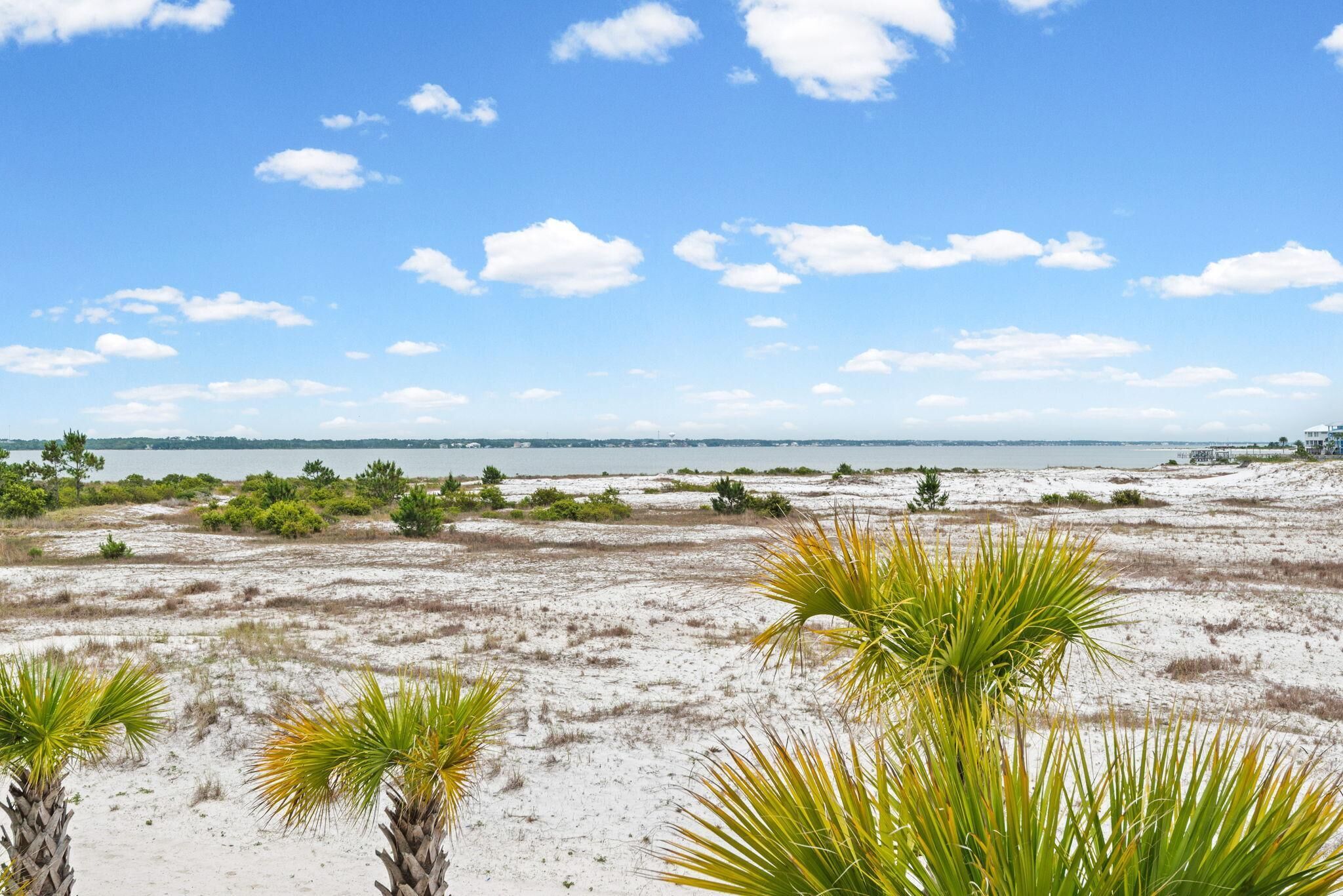 Paisaje de playa con arena, vegetación escasa y una vista distante del océano.