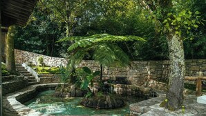 A stone-walled pool with a waterfall, surrounded by lush greenery and a stone staircase. - Villa with private river in Vilagarcía, Galicia (Vilagarcia de Arousa)