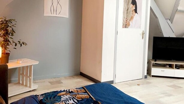 A room with a bed, a TV, a door, a wall art piece, and a plant. - CENTRAL 55m2 - 4 PERSONNES - COSY - PROCHE NAUSICAA (Boulogne-sur-Mer)