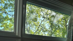 A window with a view of a lake and trees. - Escape to Lake Metigoshe This Summer (Bottineau)