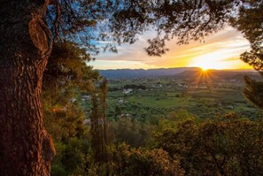 Eine Landschaft mit Sonnenuntergang, Bäumen und einer weiten Ansicht einer Stadt.