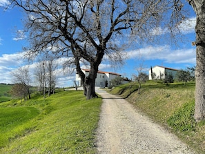 A gravel path leading to a white building with a red roof, surrounded by trees and grassy fields. - Wellness hillside house in Le Marche (Recanati)