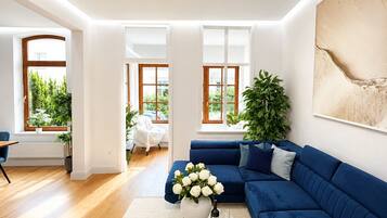 Smart-TV, Kamin