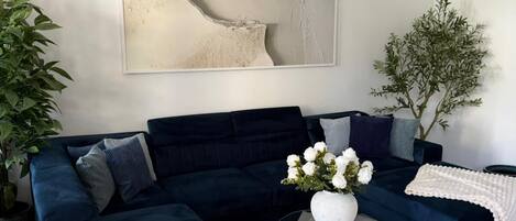Smart-TV, Kamin