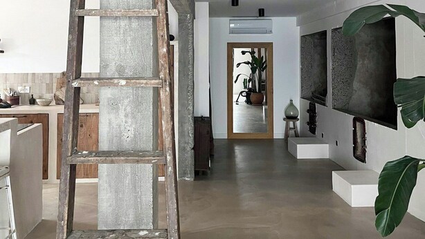 Un intérieur spacieux avec un plafond en béton, une échelle en bois, un coin cuisine et une grande plante.