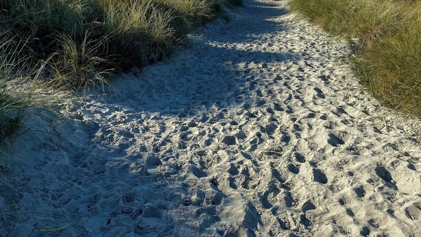 Um caminho de areia com grama nas laterais que leva ao oceano.