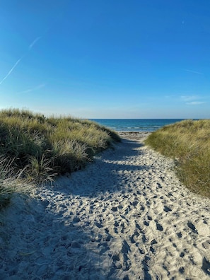 A sandy beach path with grass on either side leading to the ocean. - Thatched house with natural garden by Sejerø Bay (Højby)