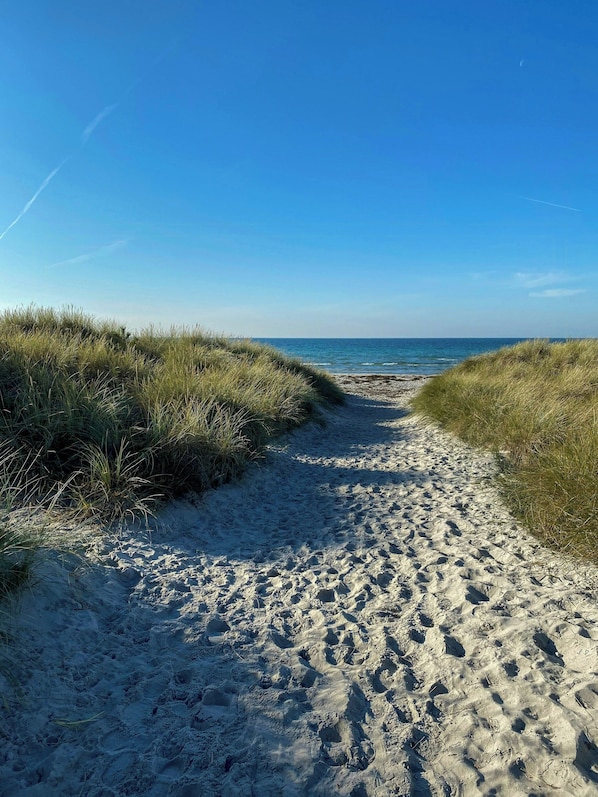 Ein Sandweg am Strand, beidseitig gesäumt von Gras, der zum Meer führt.