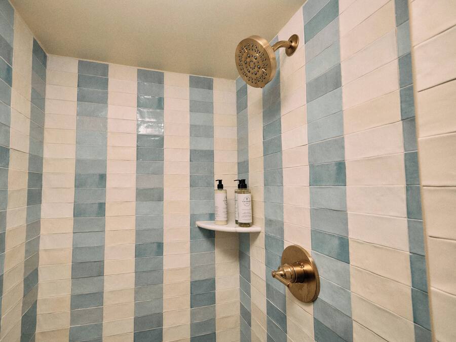 Un espace douche avec un mur recouvert de carreaux bleus et blancs, une douchette à main et deux bouteilles de shampoing posées sur une étagère.