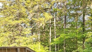 Eine Holzterrasse mit Picknicktisch und Bänken, umgeben von Bäumen.