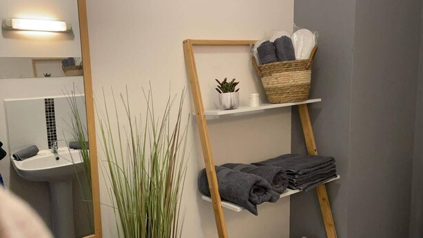 Une salle de bain avec un miroir, un lavabo, un porte-serviettes et une plante.