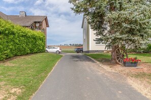 A residential street with a paved driveway, a white car parked on the side, and a large tree with red flowers.