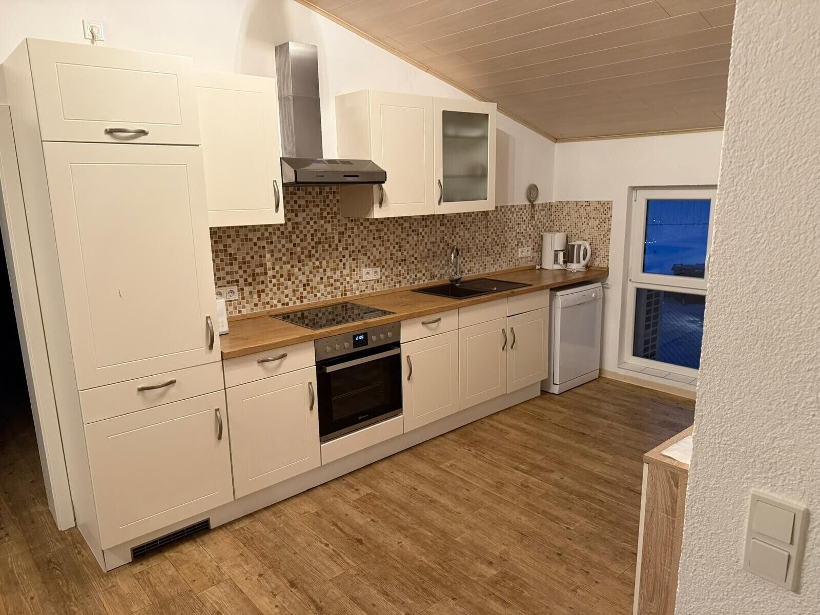 Kühlschrank, Ofen, Herdplatte, Geschirrspüler
