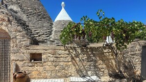 A stone building with a conical roof, a vine with grapes, and a large pot. - 17th-century trullo with private pool (Ostuni)