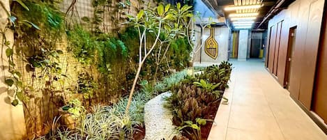 Luxury Apartment | Property grounds