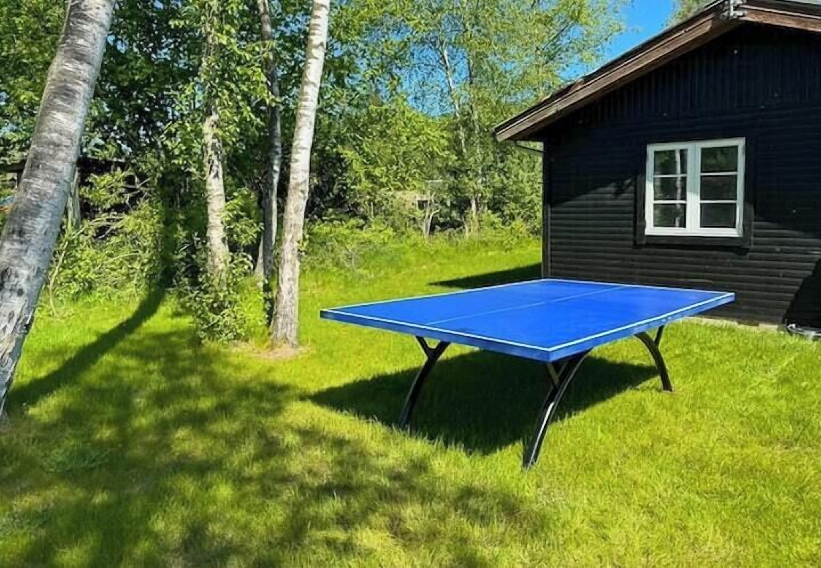 Un tavolo da ping pong in una zona erbosa, con una casetta di legno sullo sfondo.