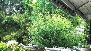 Una terraza de madera con sillas de metal y una mesa, un vaso con una bebida, y abundante vegetación al fondo.