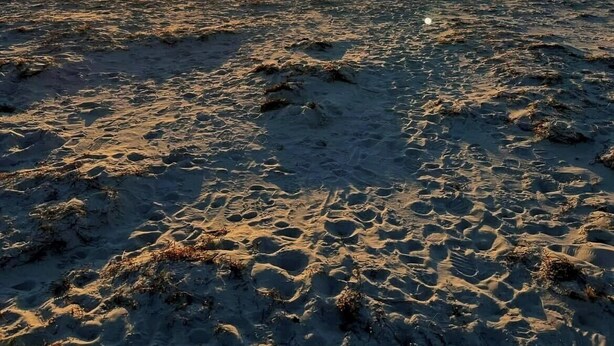 Una playa con el sol poniéndose en el horizonte.