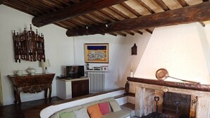 A cozy living room with a fireplace, a sofa, a television, and a wooden ceiling. - Authentic & Atypical house - Vence (Vence)