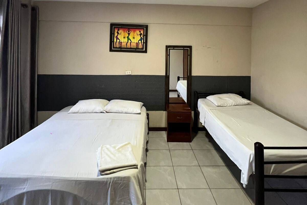 Una habitación con dos camas individuales, un espejo, una obra de arte en la pared y una lámpara en el techo.