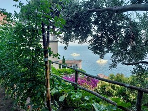 Ein Garten mit Tomatenpflanzen, einem Holzzaun und Blick auf das Meer mit Booten.
