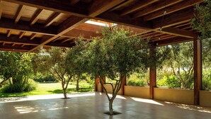 Un espace intérieur ouvert, doté d’un haut plafond et de poutres en bois, avec un arbre au centre et une vue sur la verdure à l’extérieur.