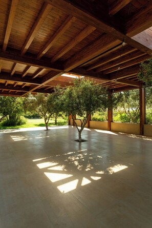 Spazio interno aperto con soffitto alto e travi in legno, caratterizzato da un albero centrale e vista sul verde circostante.