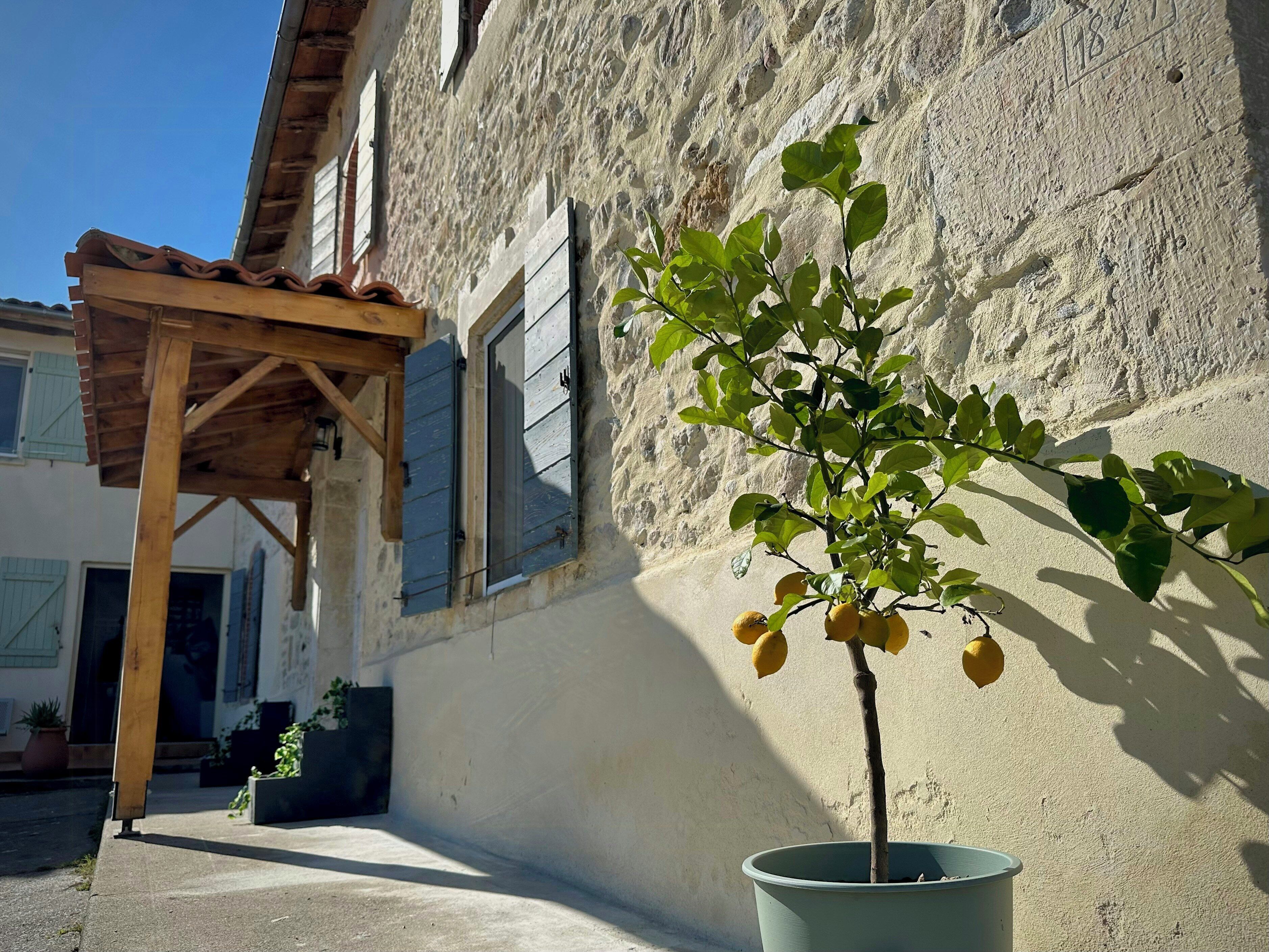 Detalle del exterior