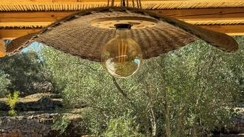 A room with a thatched roof, a hanging light fixture, and olive trees outside.