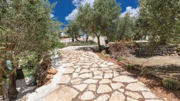 A stone pathway leading through a garden with olive trees and cacti.
