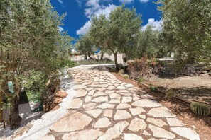 A stone pathway leading through a garden with olive trees and cacti. - Trullo with private pool among olives in Ostuni (Ostuni)