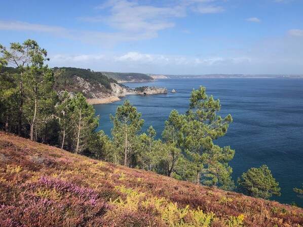 Miscellaneous - Vrbo Property (Crozon)