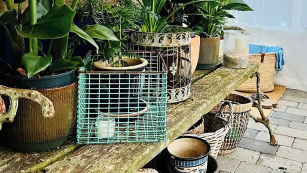 A wooden shelf with various potted plants, a woven basket, and a rustic wall. - Lovely summerhouse by the beach (Karrebæksminde)