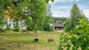 A rural landscape with two horses grazing, a white building with yellow windows, and a brown building with a red roof. - Apartment 'Fichte' with Shared Terrace, Shared Garden and Wi-Fi (Sankt Georgen im Schwarzwald)