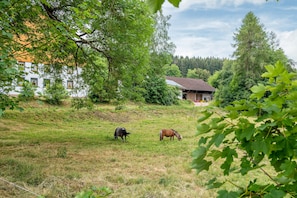 Property grounds - Apartment 'Fichte' with Shared Terrace, Shared Garden and Wi-Fi (Sankt Georgen im Schwarzwald)