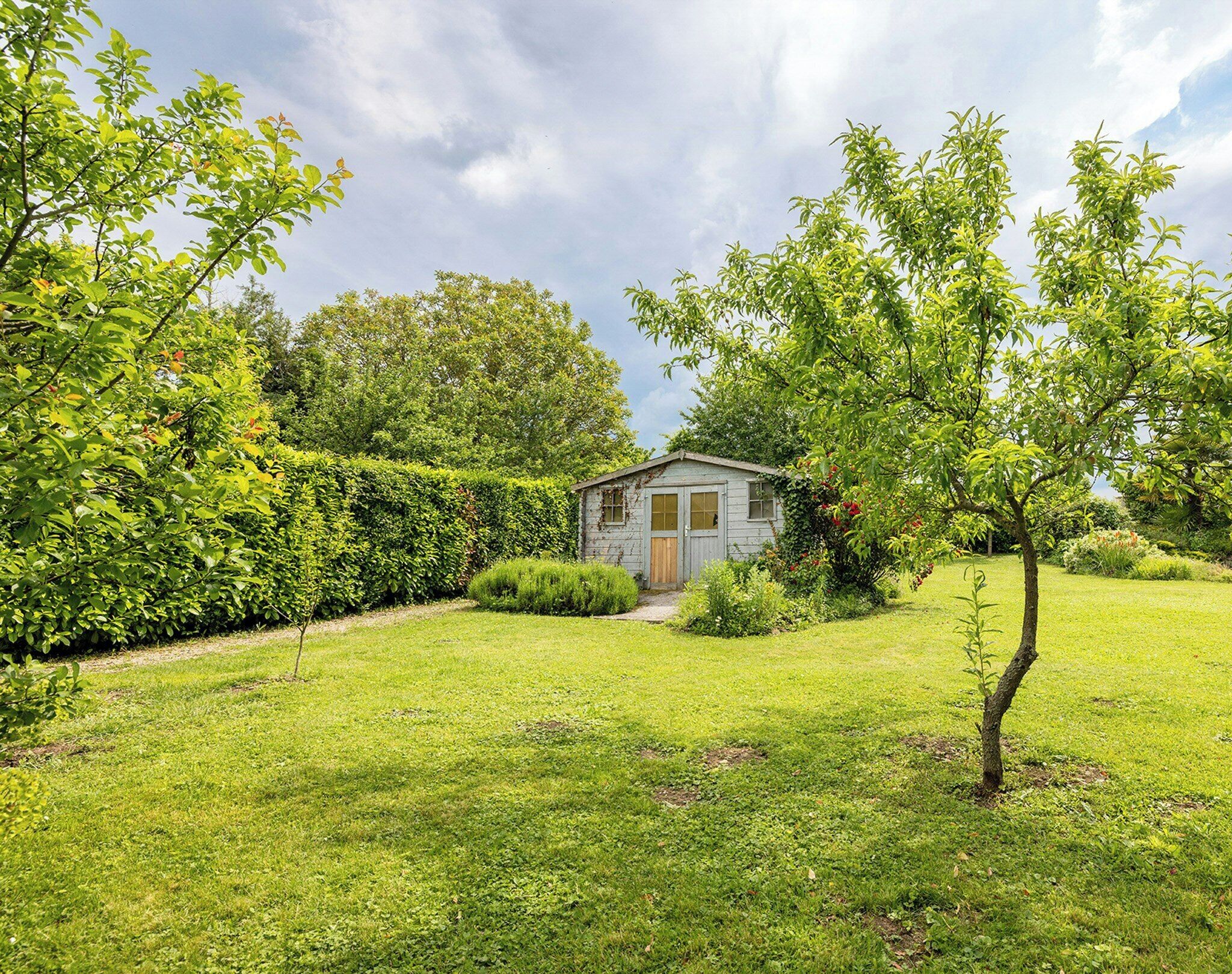Une petite maison en bois rustique, dotée d’une seule porte et d’une seule fenêtre, entourée d’un jardin bien entretenu avec divers arbustes et une pelouse.