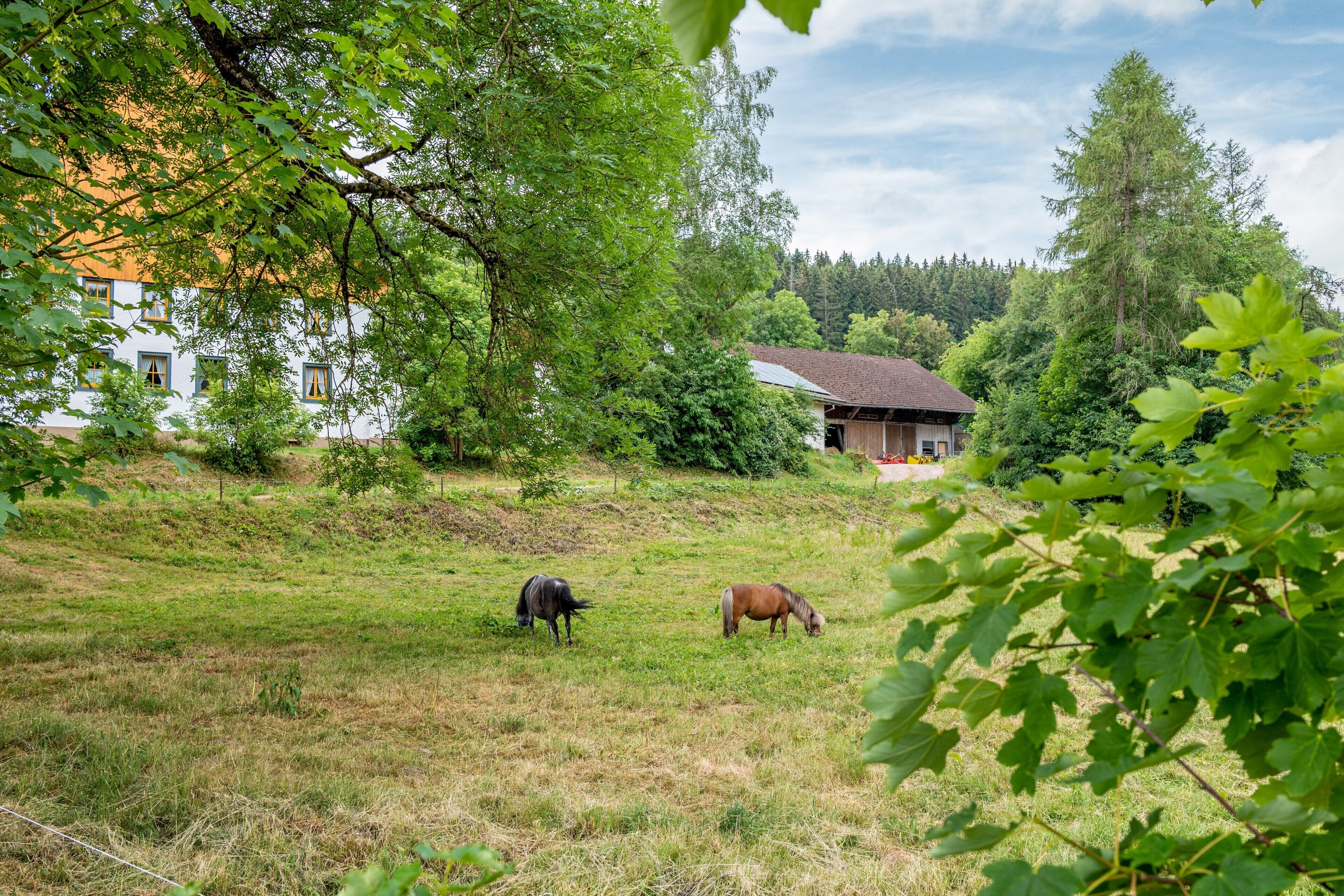 Boendeområde