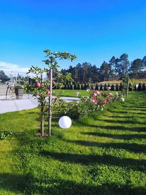 Property grounds - Stylish cabin experience in beautiful surroundings (Færvik)