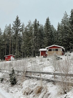 Exterior - Charming old forest cabin an hour from Oslo (Løken)