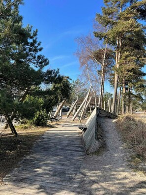 A wooden boardwalk leading through a forested area with tall trees and a clear blue sky. - Summer house near beach and nature (Væggerløse)
