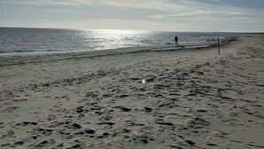 Ein Strand mit Fußabdrücken, einer Person und blauem Himmel.