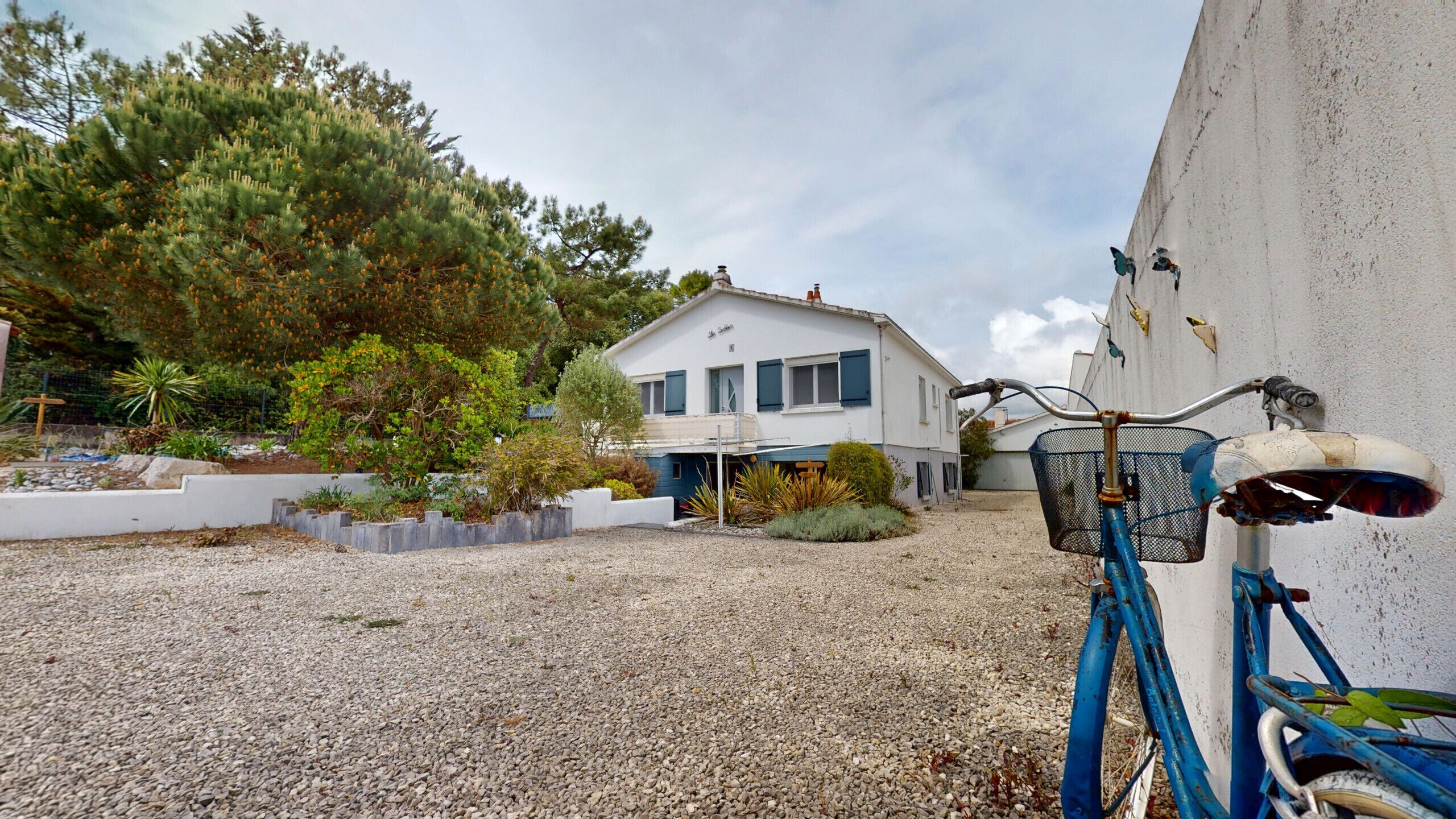 A gravel driveway leading to a white building with a blue roof, surrounded by greenery and a bicycle.
