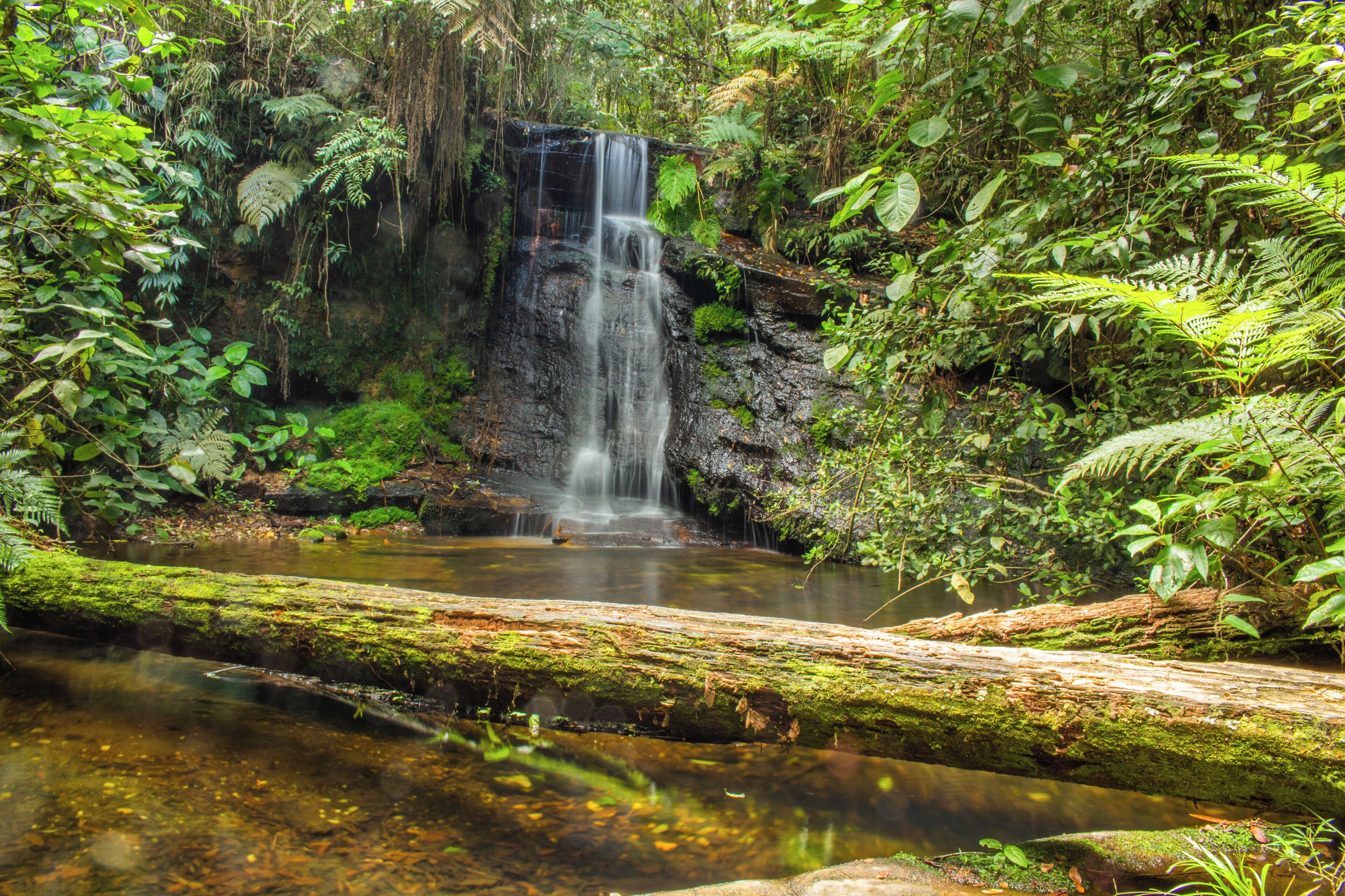 Een waterval omringd door weelderige begroeiing.