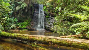 Een waterval omringd door weelderige begroeiing.