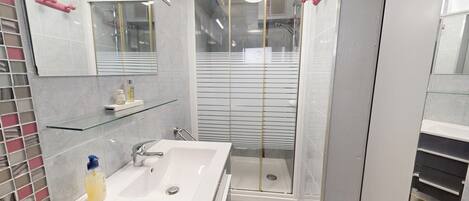 A modern bathroom with a glass shower enclosure, a white sink, and a mirror above it.
