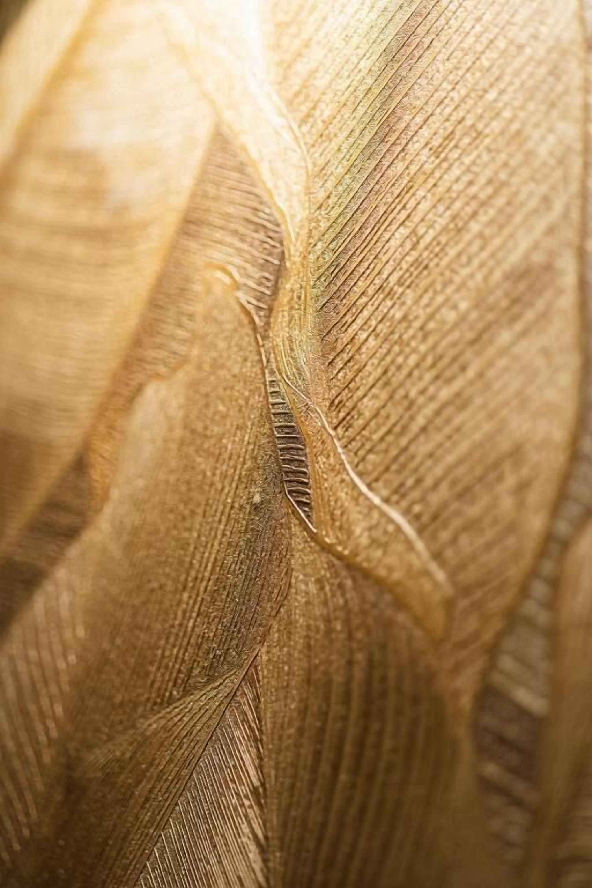 A close-up of a textured fabric with a wavy pattern.
